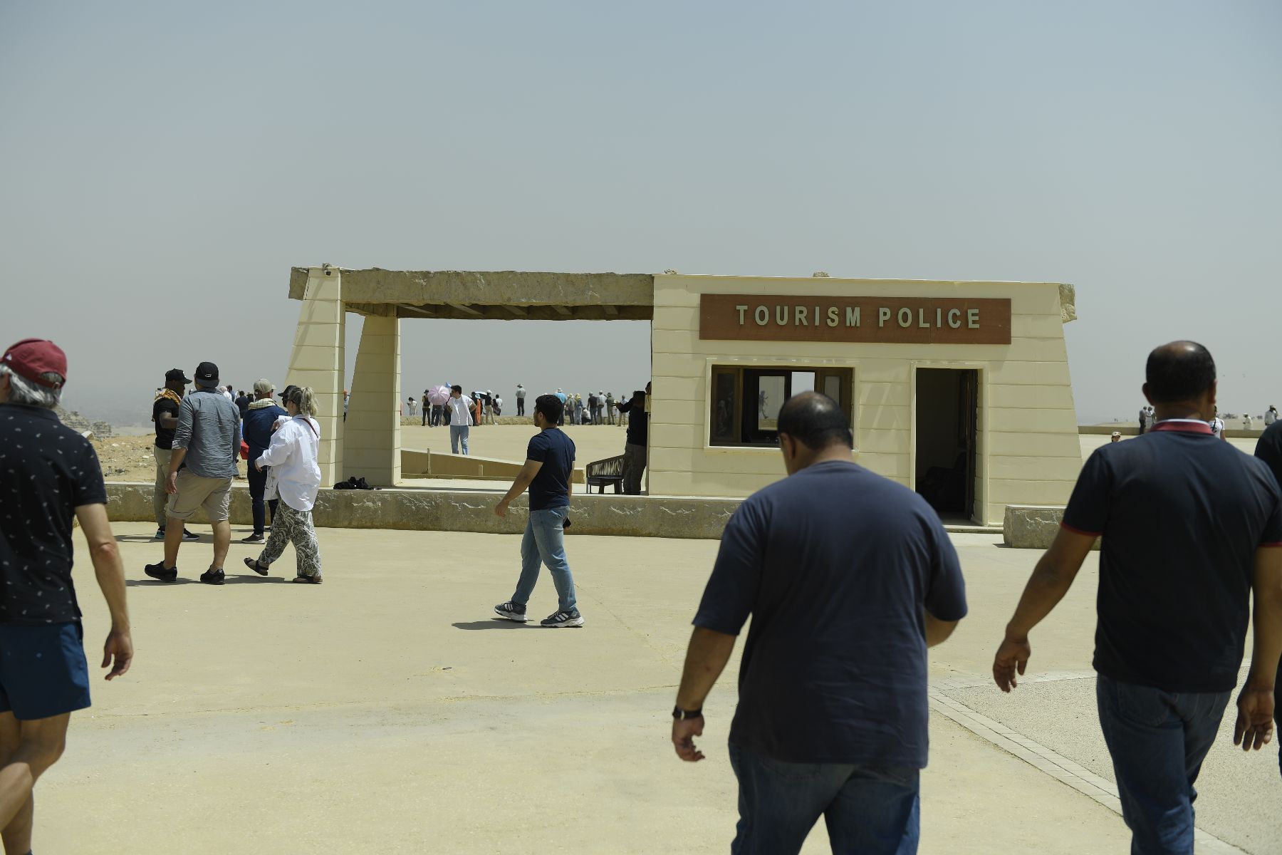 DSC4590 - ©copyright Marco Giardini