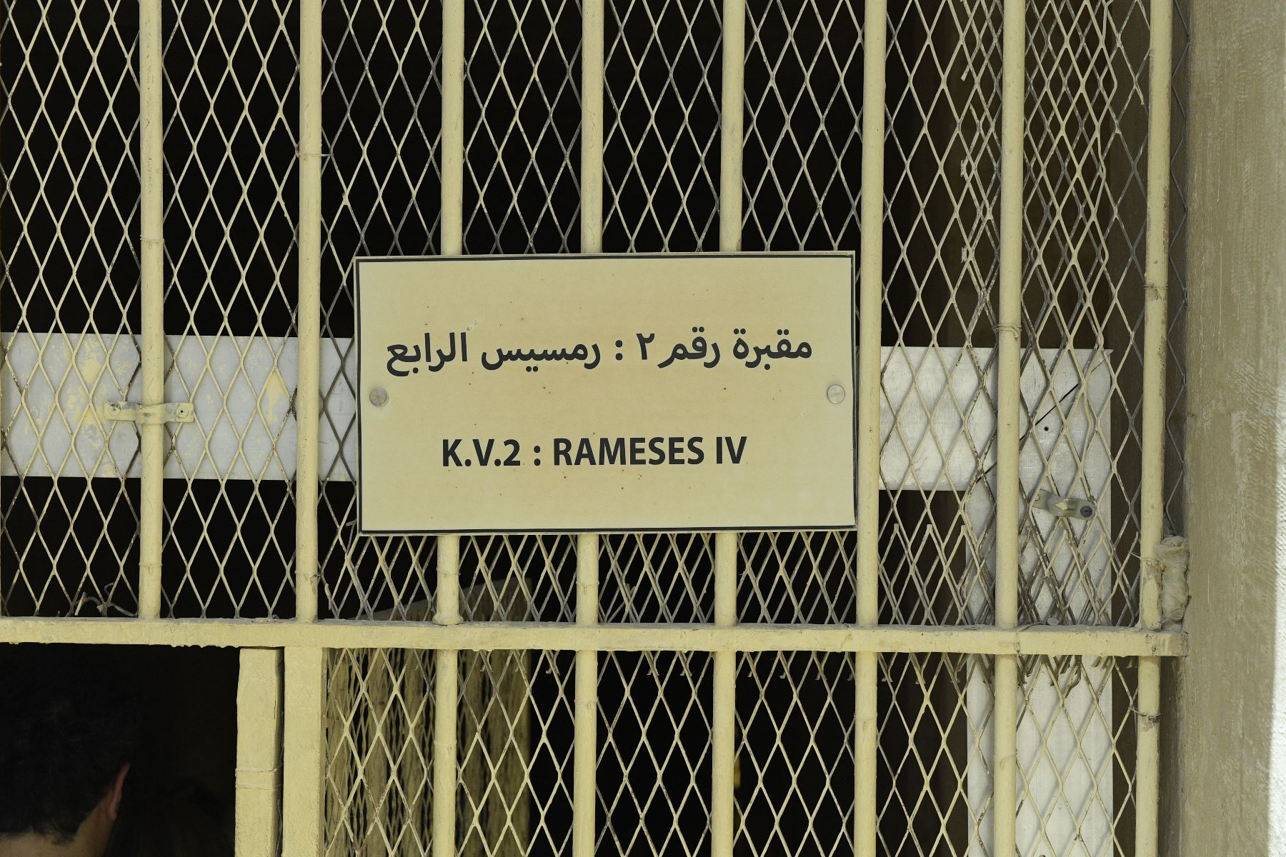 DSC4658 - ©copyright Marco Giardini