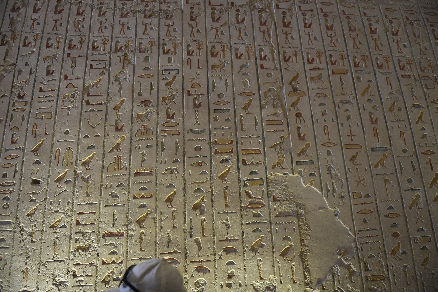 ©copyright Marco Giardini