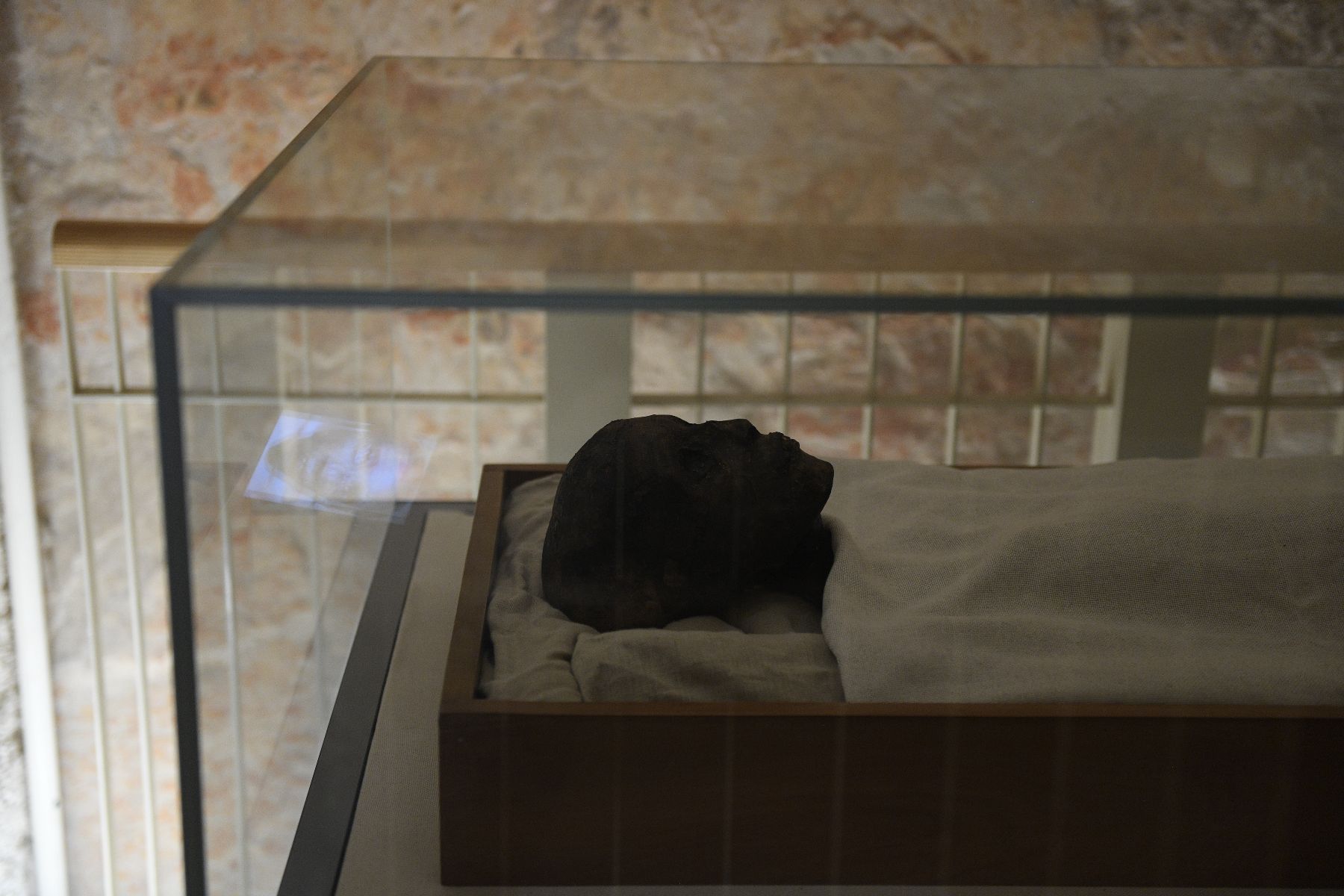 DSC4667 - ©copyright Marco Giardini