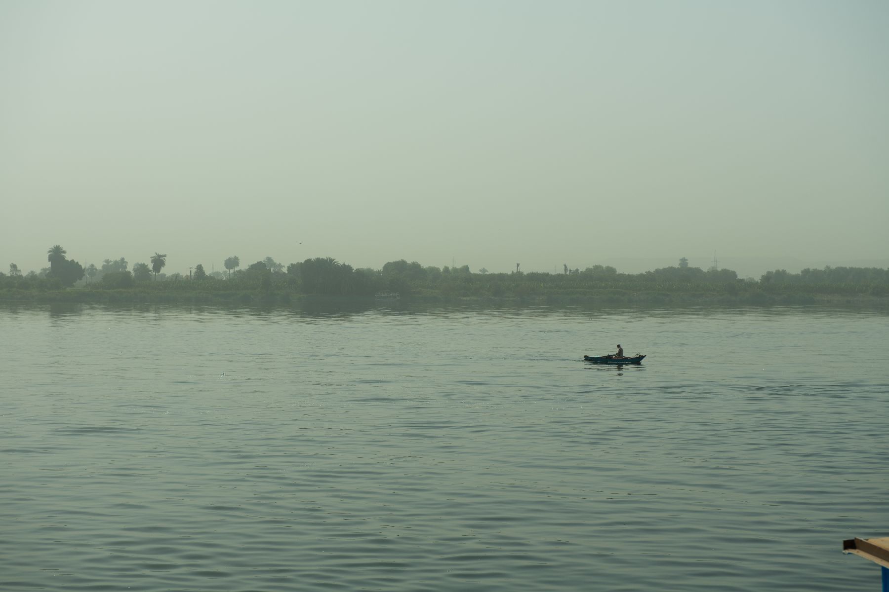 DSC4679 - ©copyright Marco Giardini