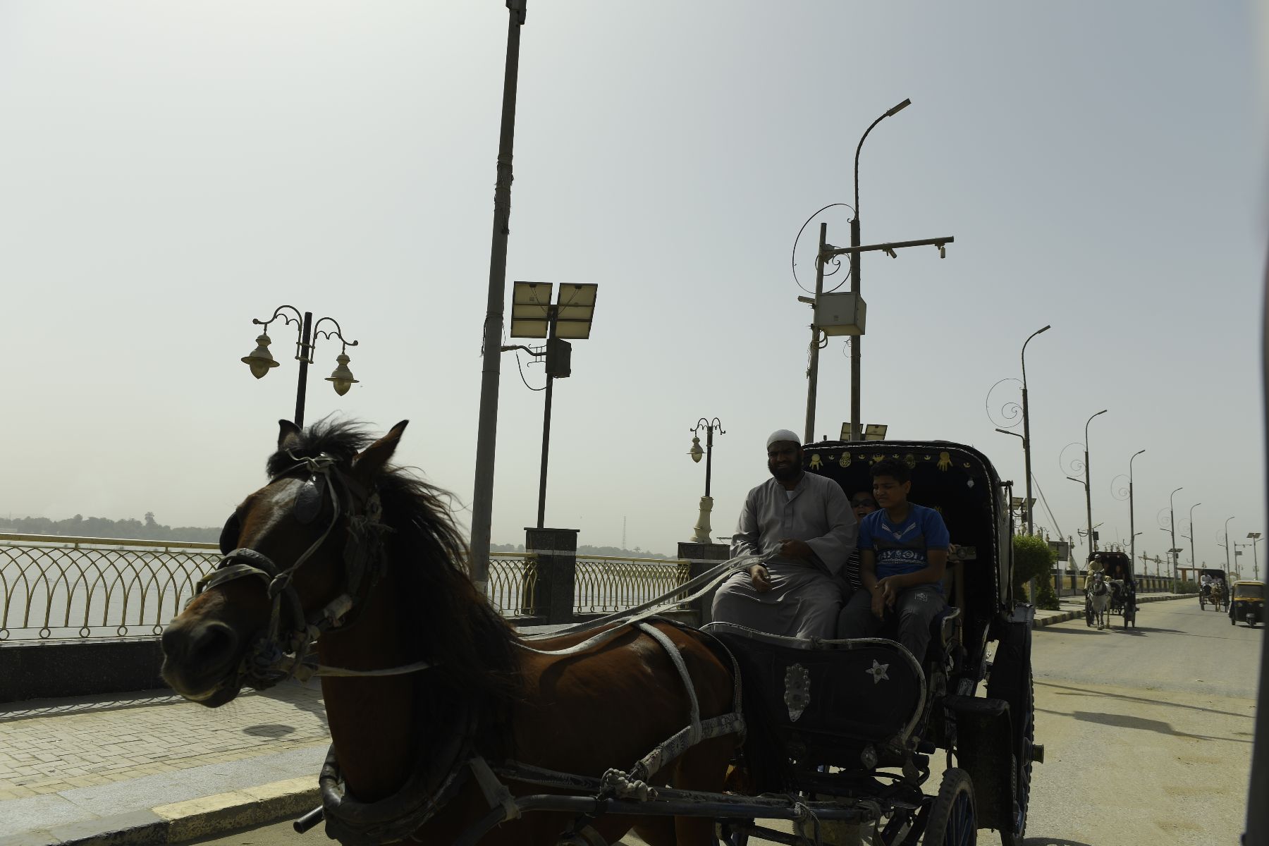 ©copyright Marco Giardini