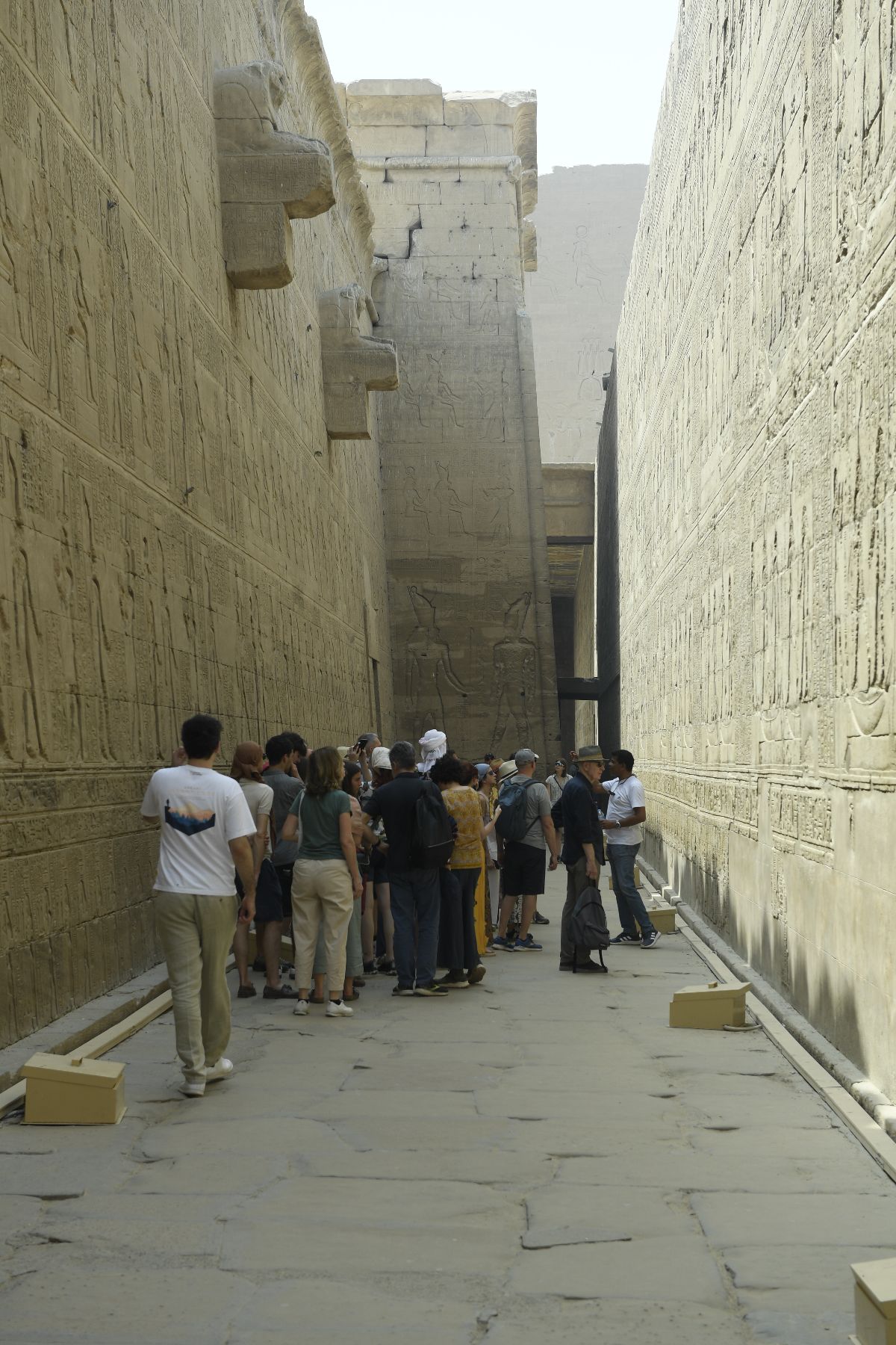 DSC4707 - ©copyright Marco Giardini