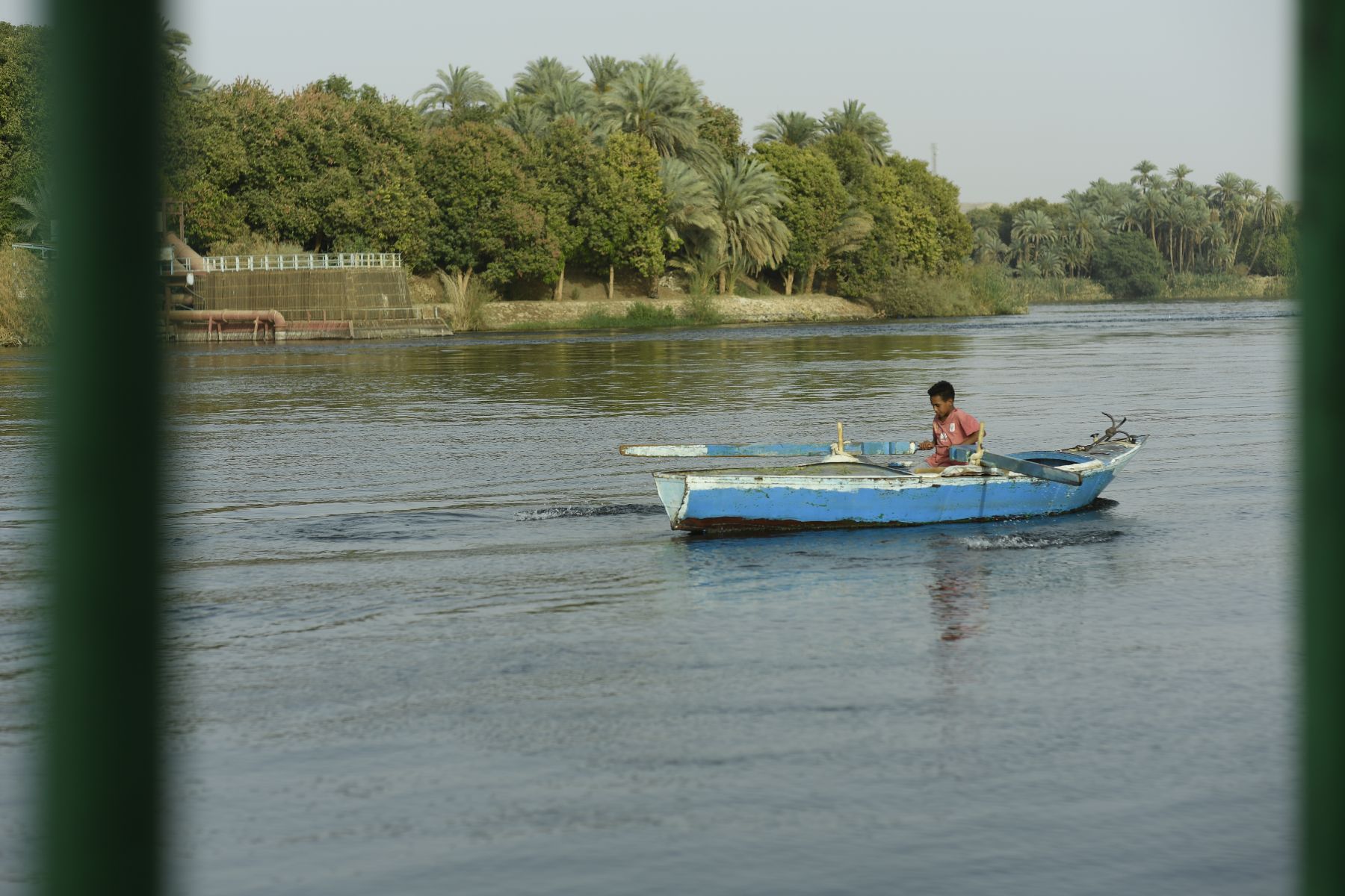 DSC4752 - ©copyright Marco Giardini