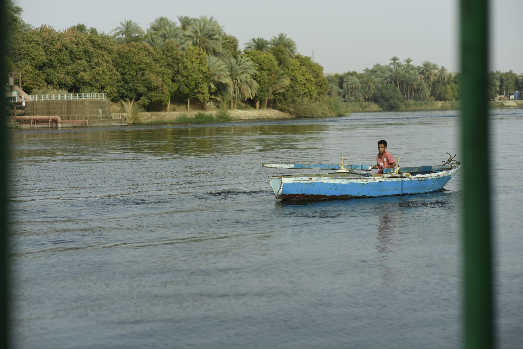 DSC4753 - ©copyright Marco Giardini