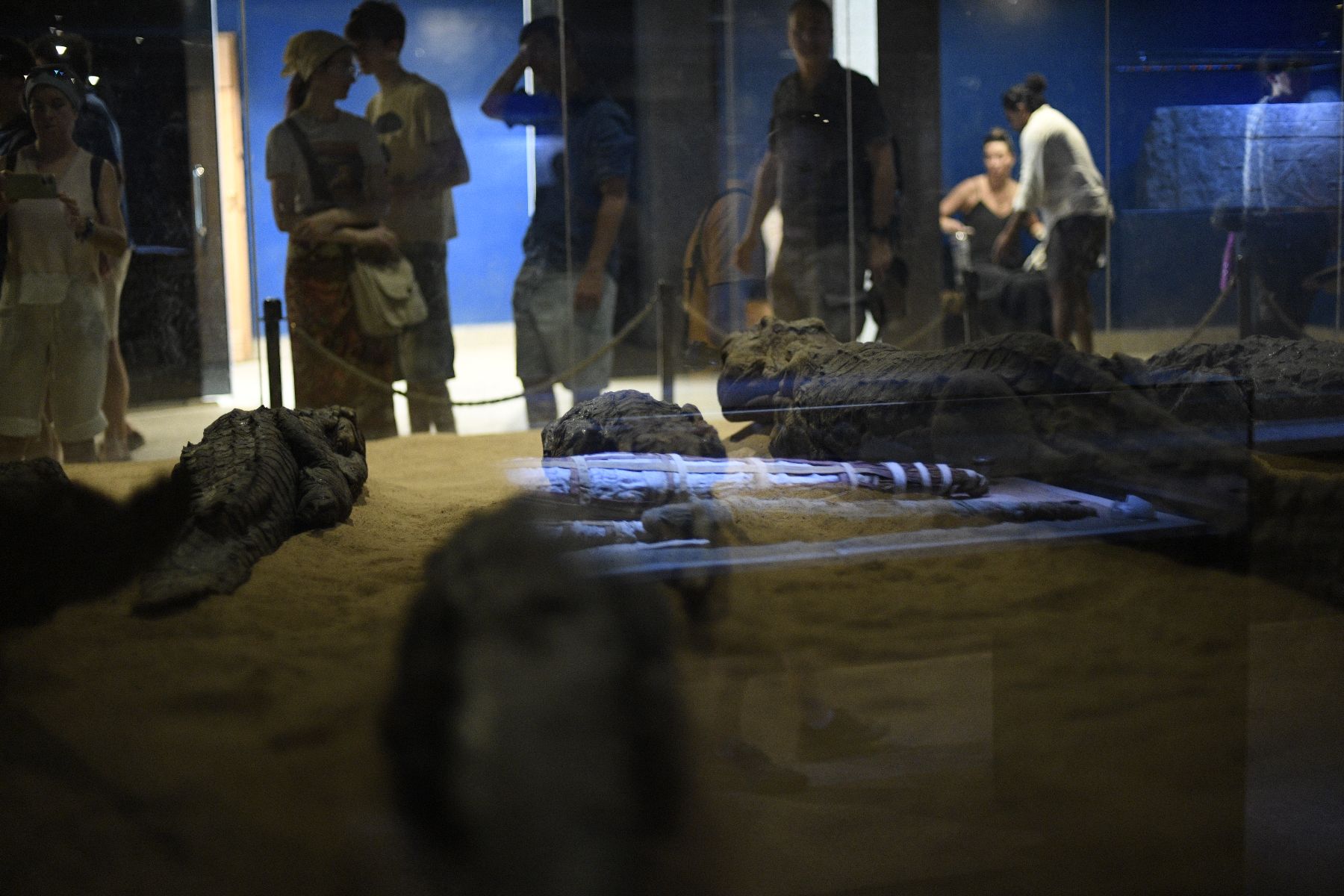 DSC4817 - ©copyright Marco Giardini