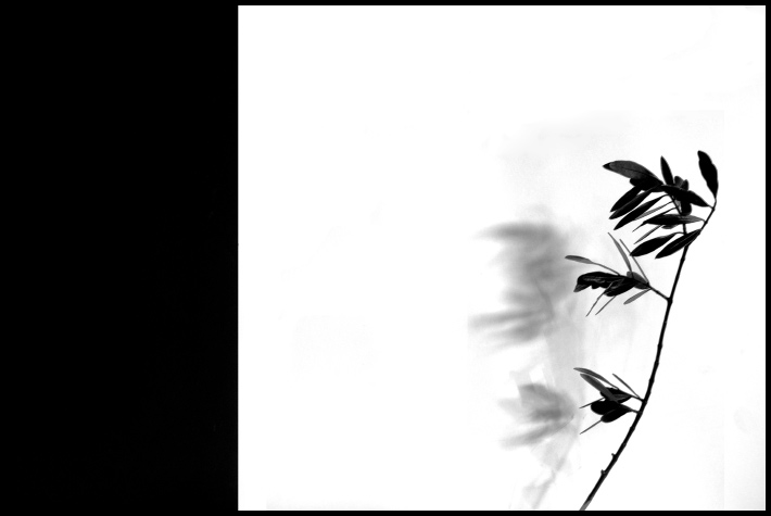 ©copyright Marco Giardini