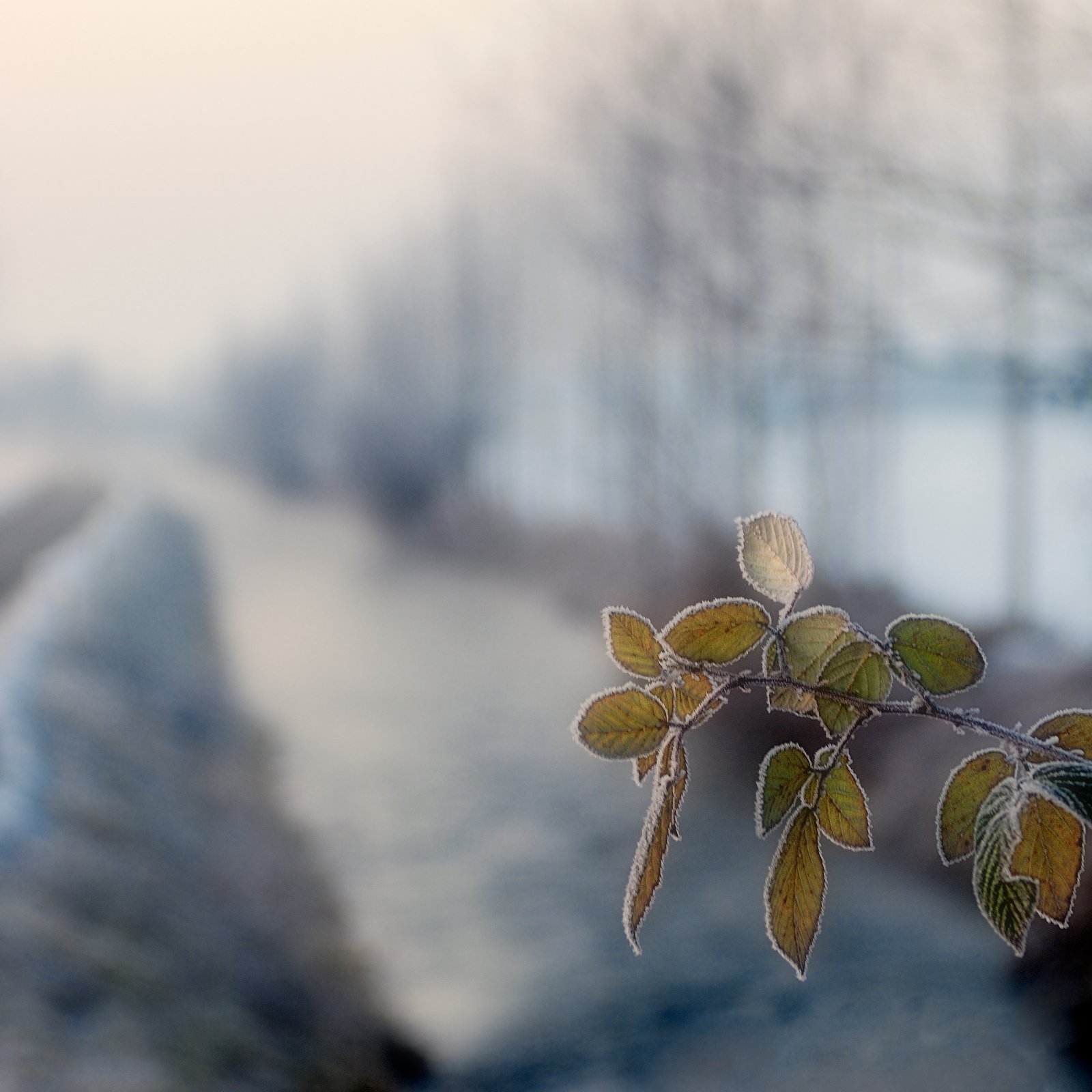 ©copyright Marco Giardini