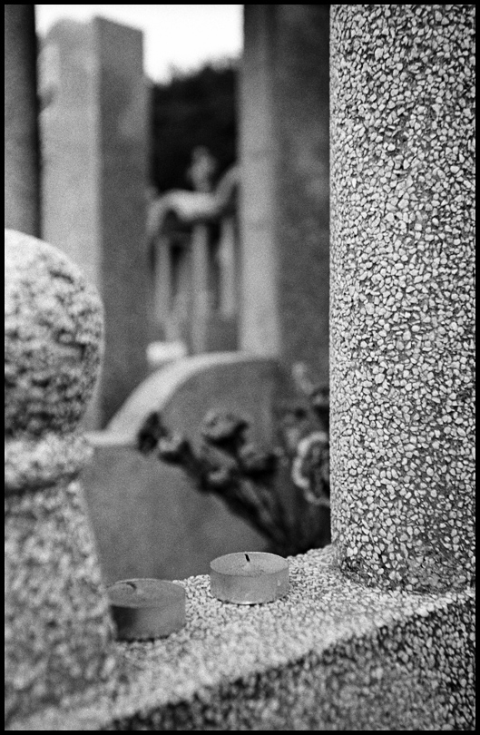 ©copyright Marco Giardini