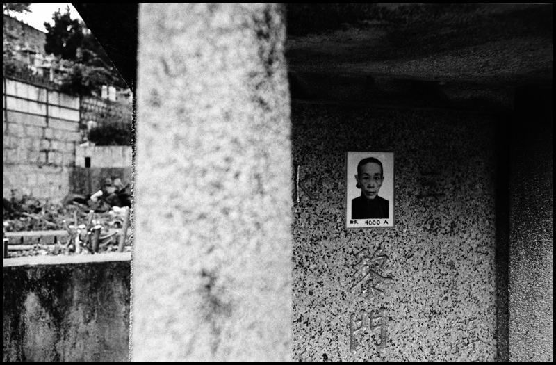 ©copyright Marco Giardini