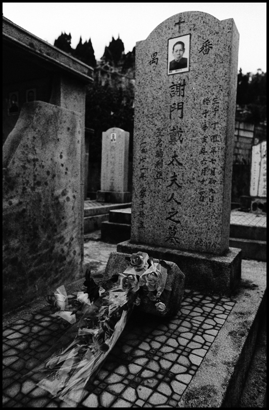 ©copyright Marco Giardini