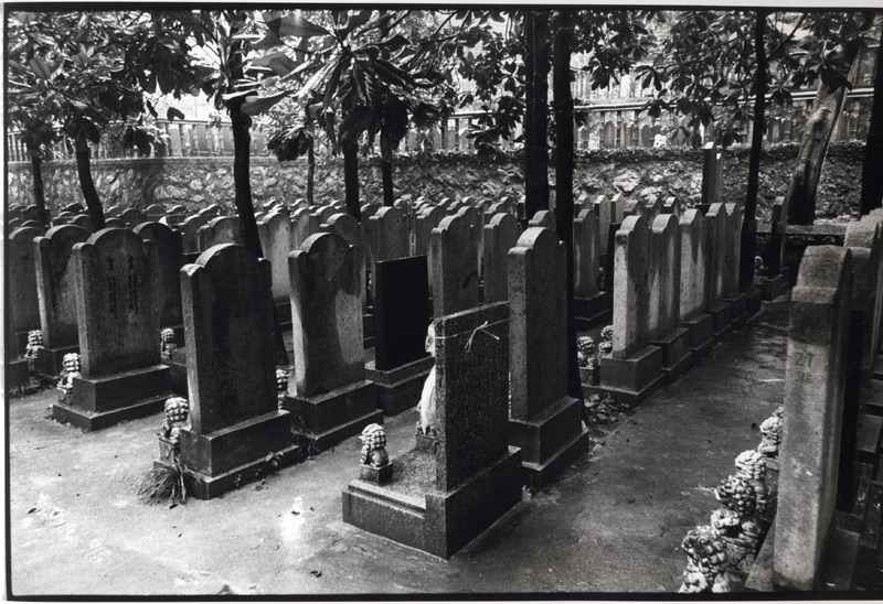 ©copyright Marco Giardini