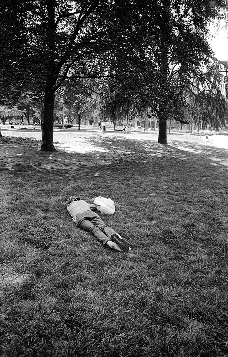 ©copyright Marco Giardini